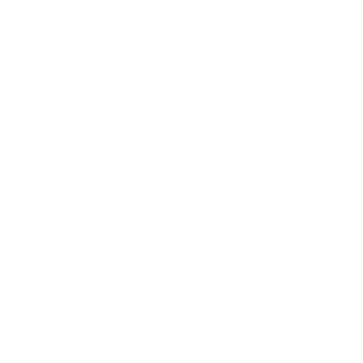 Experiencia Comprobada